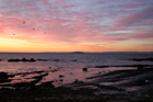 Look - click image to view gallery