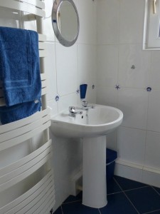 en-suite shower room in Sandcastle Cottage