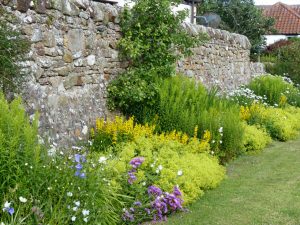 garden to the rear of sandcastle cottage crail