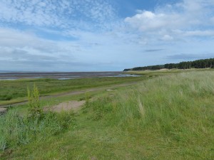 Looking towards Tentsmuir Point from the Fife Coastal Path at Tayport