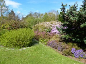 Borders and lawns at St Andrews Botanic Garden