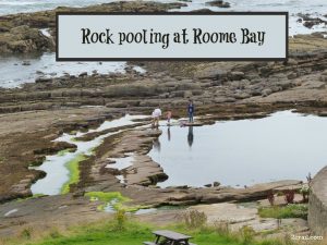 rock pooling roome bay