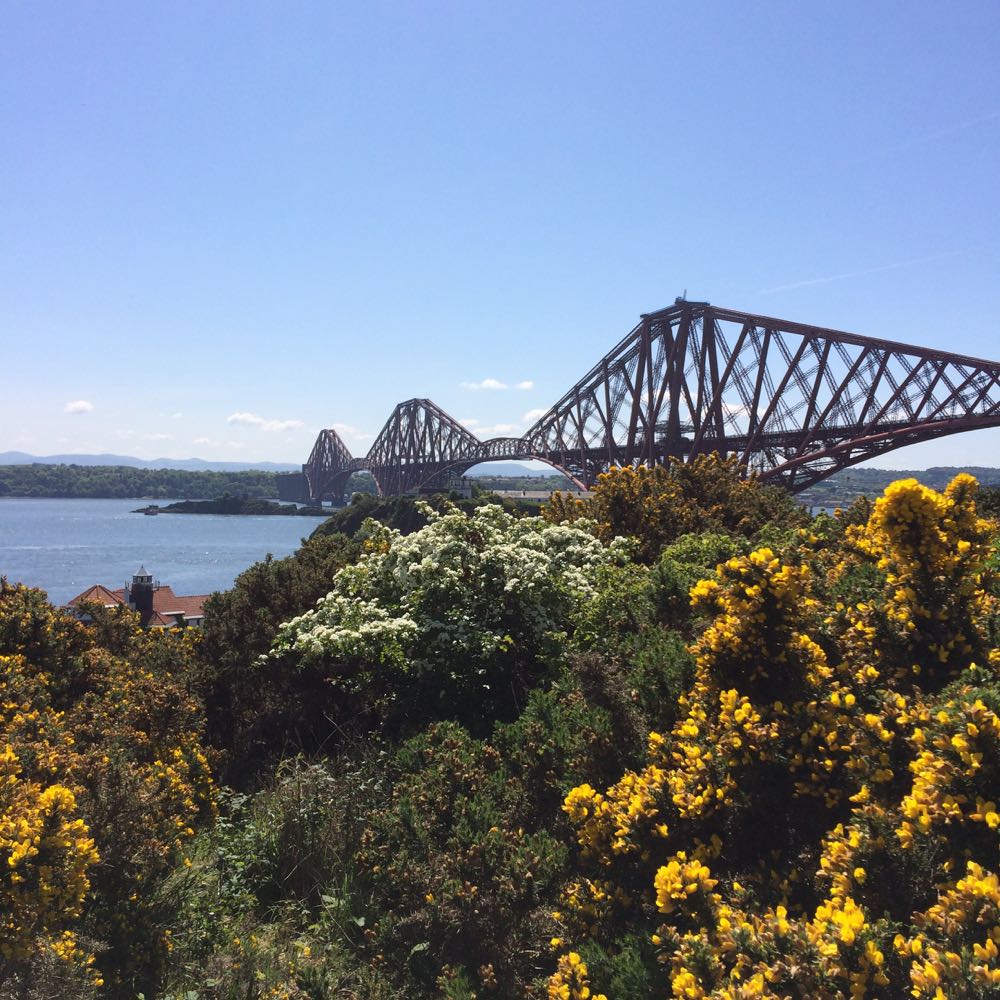 Forth Bridge from Carlingnose Point