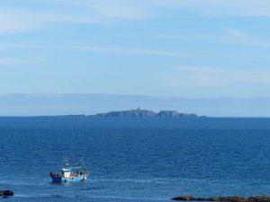Isle of May from Pittenweem