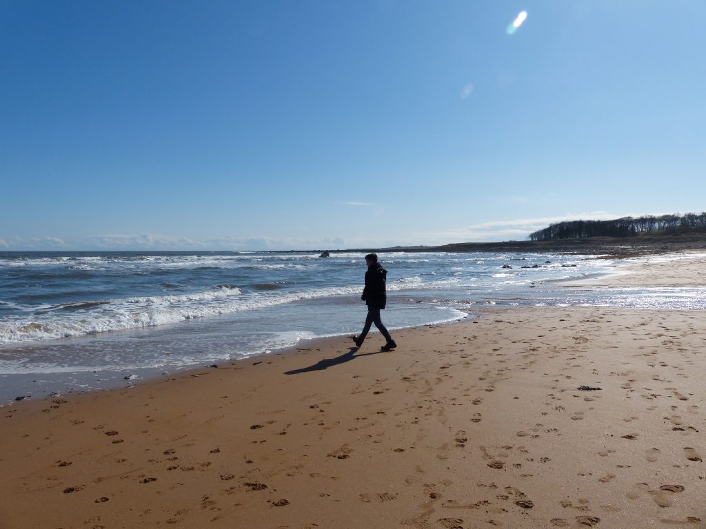 Day out to Cambo Sands Kingsbarns