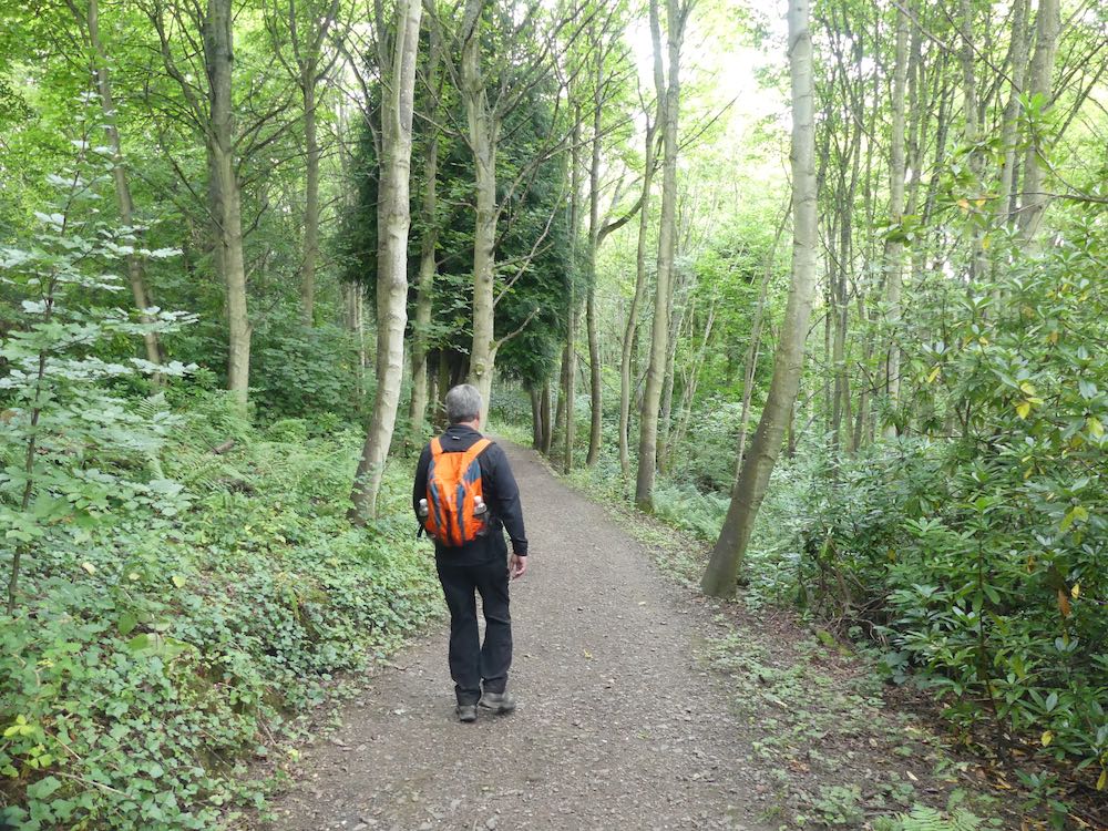 Path from Craigtoun Park towards Lumbo Den