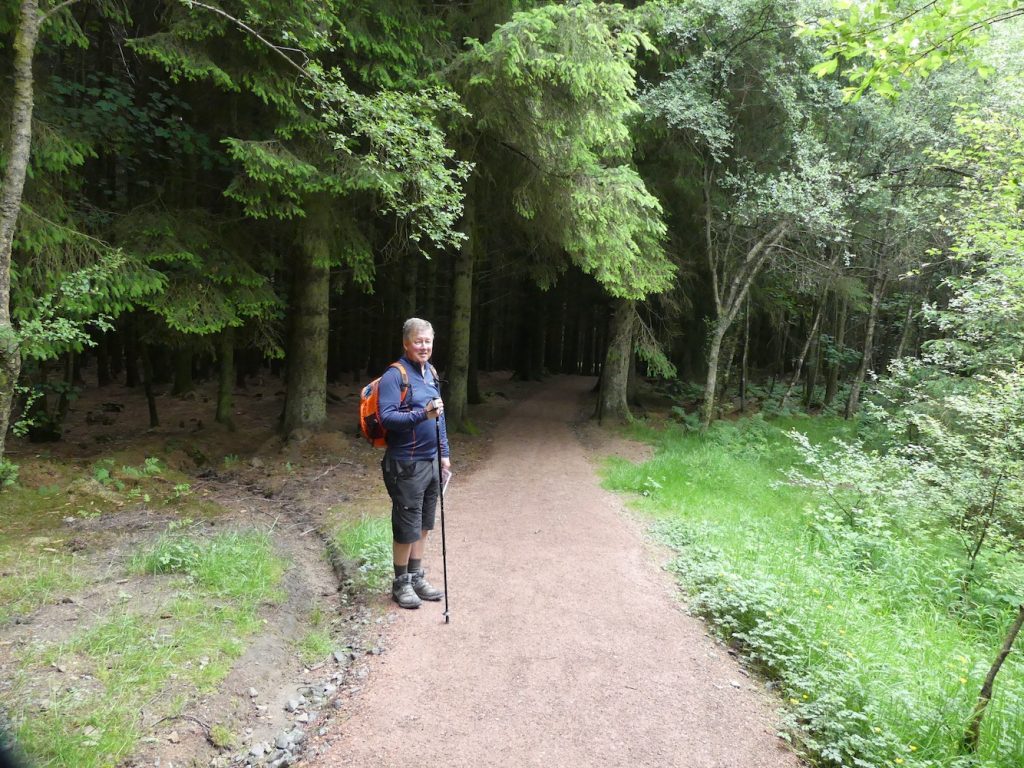 Blair Adam forest path